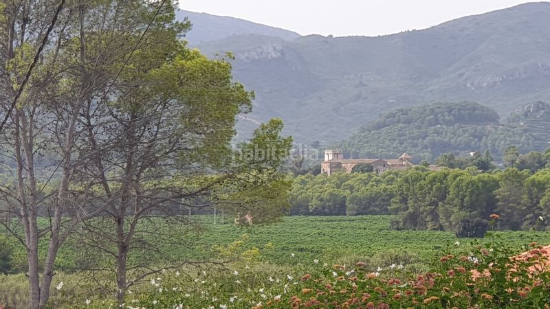Foto c314c5f6-199c-4d4a-a018-5dcdbb1fd814. Finca rústica a partida el herm 2 a Alfauir