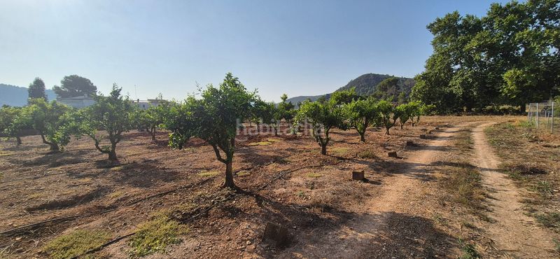 Foto e03b501e-38fb-4d6a-b961-27190d4802ba. Finca rústica a partida el herm 2 a Alfauir
