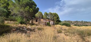 Bauernhof  Travessera d´albaida 99. Casa rustica de piedra con terreno en real de gandía