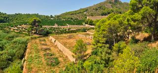 Finca rústica a Carrer monte vernissa 5. Terreno rústico mas de 15 000 m2 en almiserá