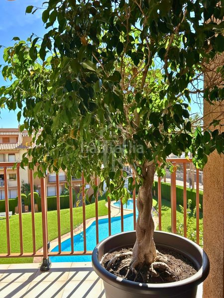Foto b06880ad-a592-43ac-a4e2-82d240d014c6. Duplex avec parking piscine dans Roda de Barà