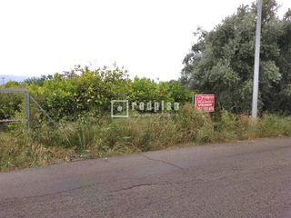 Terreny residencial a Guadalupe