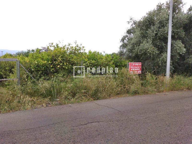 Foto 26848656-64c5-4f86-bca5-a8aa9f62a02b. Terreny residencial a Guadalupe Murcia