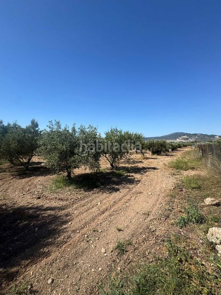 Foto 803e25a9-3110-4cd2-8c20-8556238ef3c8. Casa amb aparcament piscina a Onil