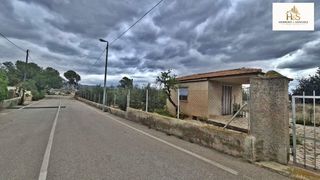 Terreno residenziale  Calle cabo palos-rb rollet. Terreno urbano con olivos y posibilidad de construir chalet  cañ