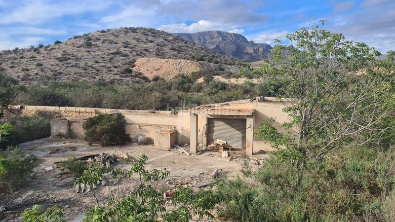 Foto b0d90889-d824-4eb5-b618-45f6b3724b18. Finca rústica a Monforte del Cid