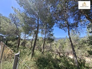 Maison à Tibi. Un refugio entre pinares naturaleza, privacidad y vistas que ena