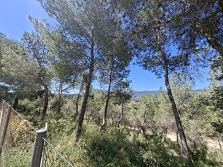 Casa a Tibi. Un refugio entre pinares naturaleza, privacidad y vistas que ena