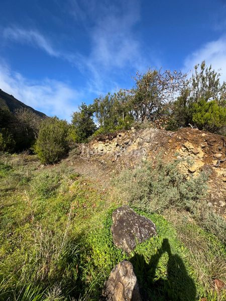 Foto e3c3ab8a-a4ce-429a-807e-2236263e840f. Finca rústica a Palo Blanco Realejos (Los)