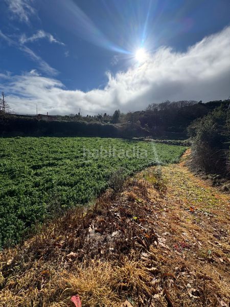 Foto ff8684b1-6610-4346-ab0c-bc1e471087b6. Finca rústica a Palo Blanco Realejos (Los)