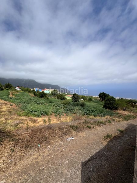 Foto d67737fe-7845-4179-ad56-5f5fafa82886. Finca rústica a Palo Blanco Realejos (Los)