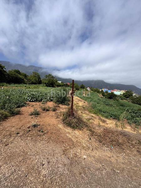 Foto e47cf3f6-d1d8-44f8-8ce1-b0a5a5708710. Finca rústica a Palo Blanco Realejos (Los)