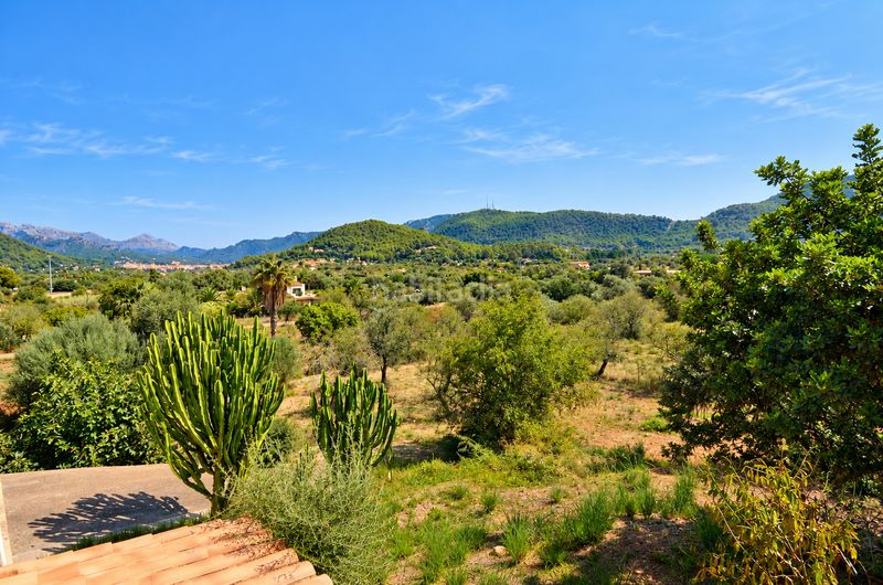 Foto 0597c751-77fd-4d08-8f32-4f4291570057. Rent country house with fireplace heating parking pool in Andratx