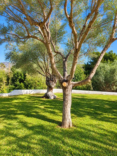 Foto 09b0ea2d-0e87-4f66-882c-6989d2b5125a. Rent country house with fireplace heating parking pool in Andratx