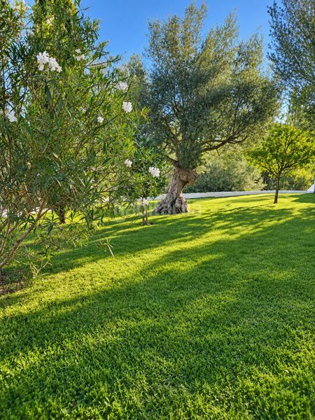 Foto 7bf56bfe-fd1b-454b-b07f-288b5d595081. Rent country house with fireplace heating parking pool in Andratx
