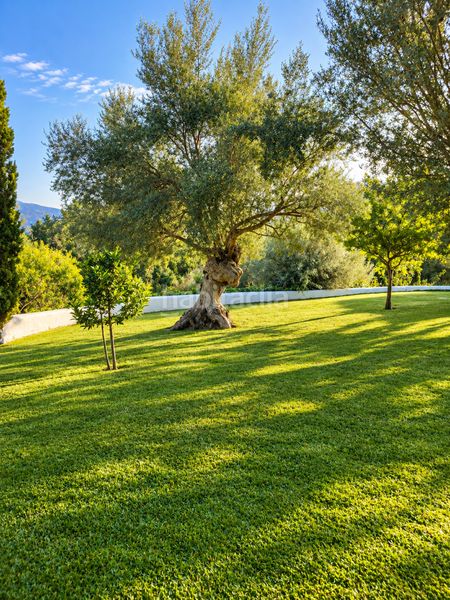 Foto 9b40e8e1-a51d-49ec-baf4-ad46328222f0. Rent country house with fireplace heating parking pool in Andratx