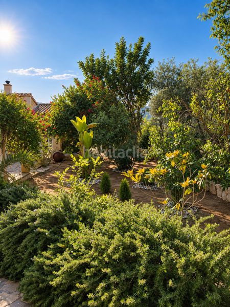 Foto e6fbd40e-b43c-4c93-99bd-3662a3d7d840. Rent country house with fireplace heating parking pool in Andratx