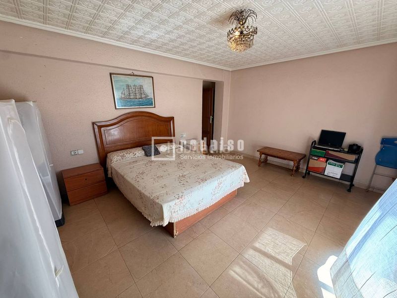 Foto 92a82b27-48a6-48dd-8154-762aaa20f5d3. Pis a Malva Rosa Valencia