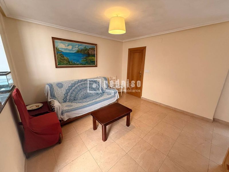 Foto b9db7691-69c9-4c57-b9e1-7e88cccf8da5. Pis a Malva Rosa Valencia