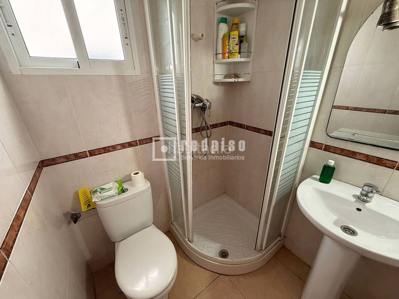 Foto bd38f5bd-5d24-4eba-8f64-5a3705b5d7a2. Pis a Malva Rosa Valencia
