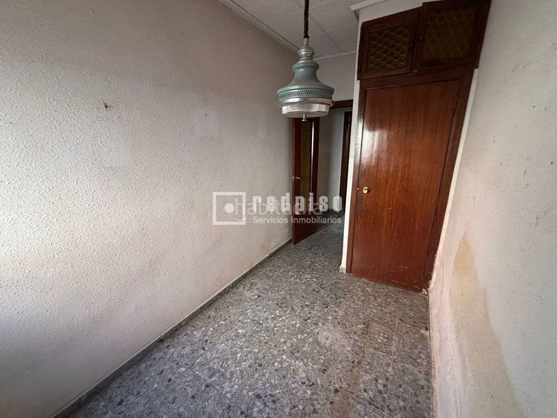 Foto f99347b2-f44d-48fb-8a21-9aa5d18bb297. Pis a Malva Rosa Valencia