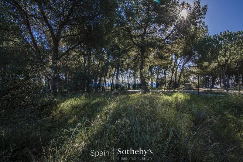 Foto 2ab2bdba-74bf-4840-8881-d424fd3f75a6. Terreny residencial a Rocaferrera Sant Andreu de Llavaneres