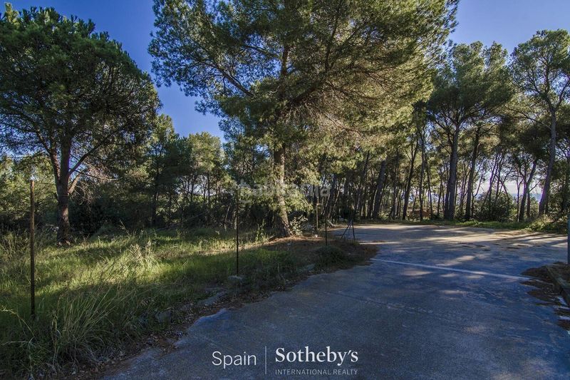Foto 609cb940-7bbc-41a5-8a91-3a88f1a3ef55. Terreny residencial a Rocaferrera Sant Andreu de Llavaneres