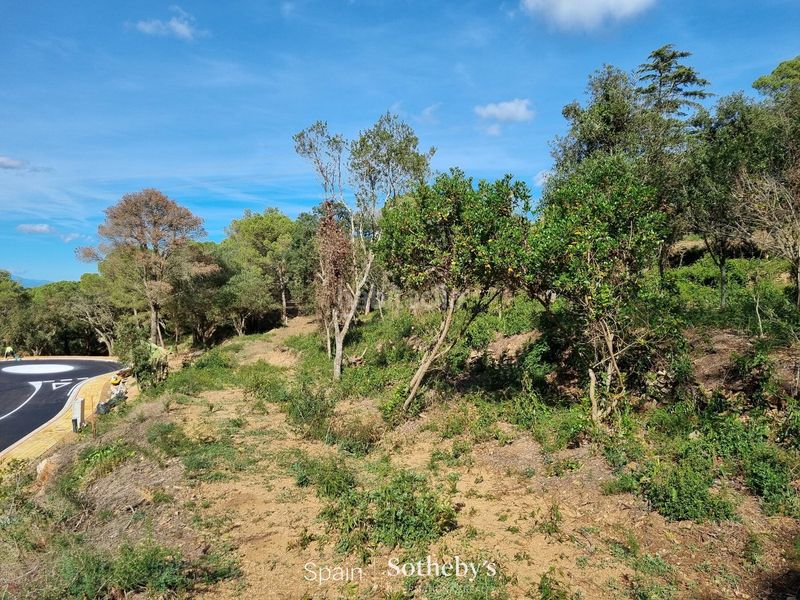 Foto ed46d54a-b63a-41b0-adbc-31efb52db64a. Terreny residencial a Begur Begur
