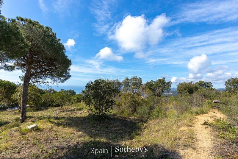Foto 540f6c8e-f120-4ed6-8643-3f29e370f3df. Terreny residencial a Supermaresme Sant Andreu de Llavaneres