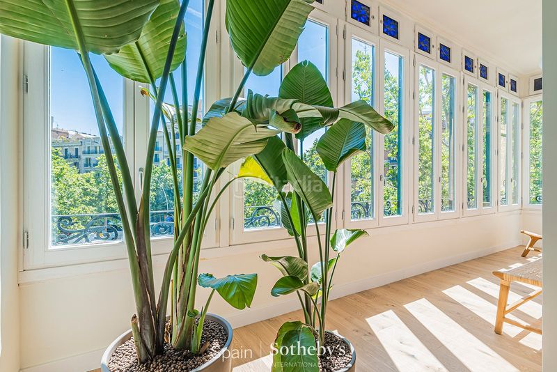 Foto acfaecde-c6a5-4d24-875b-996bbd778055. Apartament a L´Antiga Esquerra de l´Eixample Barcelona