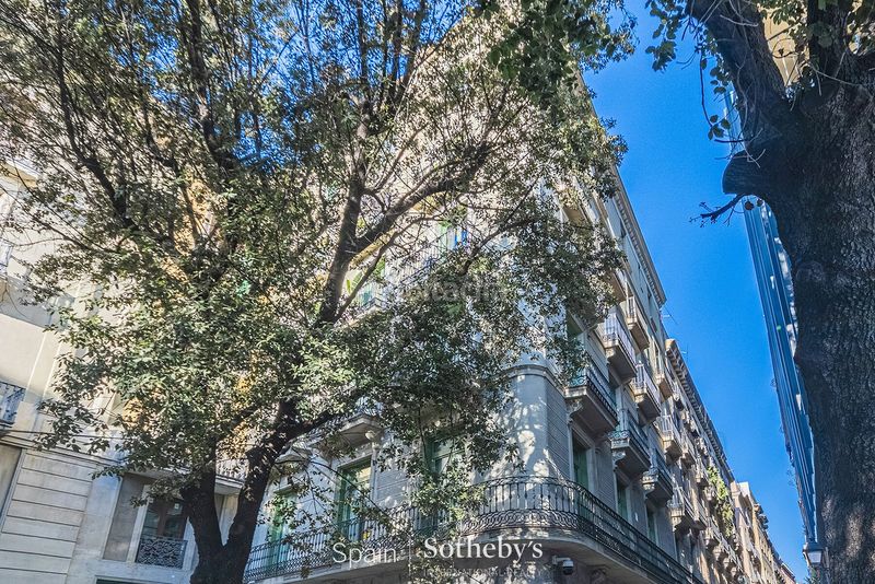 Foto bada0e6c-bad4-4c90-b229-a291c7afcb3f. Apartament amb calefacció a Gòtic Barcelona