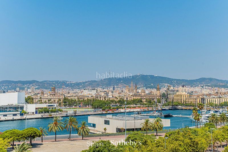 Foto 20254900-9311-46d6-ac7b-b0302c93856a. Àtic amb piscina a Barceloneta Barcelona