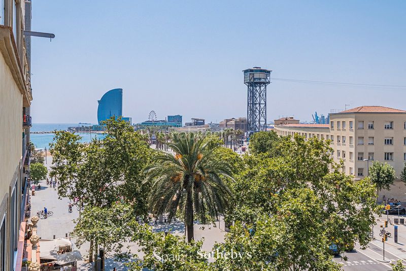 Foto c559b34f-0f63-4a76-bf74-4e63363744cb. Àtic amb piscina a Barceloneta Barcelona