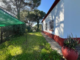 Xalet a Diseminado cuco alto 1. Chalet unifamiliar en los pinos de valverde del camino