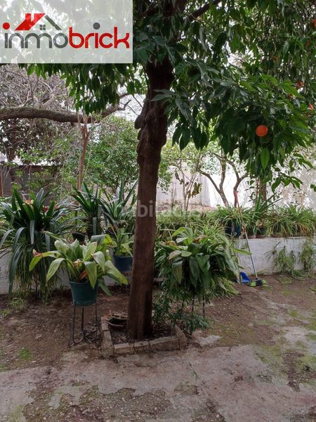 Foto 6a2da84d-3362-41f5-968e-ccbd97fed010. Casa a Centro Lucena