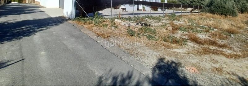 Foto 48e6befc-84cf-43d0-b02b-f45e38906fa1. Finca rústica a Las Vegas - Campoaras Lucena
