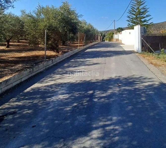 Foto 81be1655-8bf1-48b3-8502-6b060af4f59b. Finca rústica a Las Vegas - Campoaras Lucena