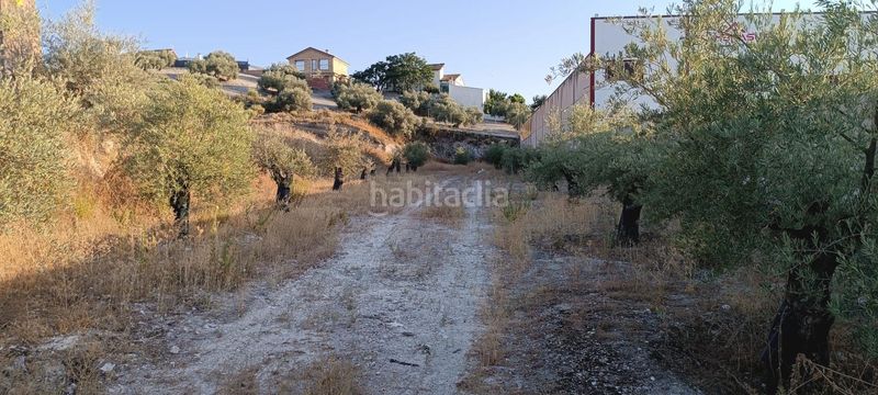 Foto 654bb584-f69b-4e8a-90e2-c21cc611dade. Terreny residencial a Rute