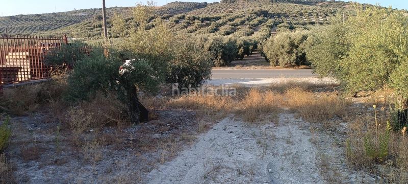 Foto 81b142a5-fcfe-465c-b815-8df84da8d620. Terreny residencial a Rute