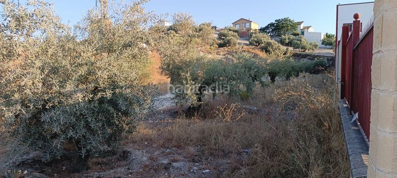 Foto f05288e7-c7fb-4b83-a147-1c9d35630baf. Terreny residencial a Rute