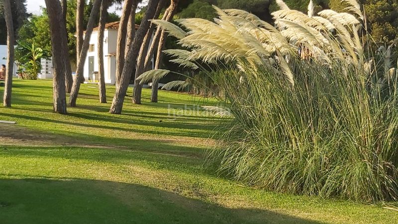 Foto c0b2b00c-6574-4429-b6aa-9c936ade9efe. Pis a urbanización algaida 3 a Calahonda Mijas