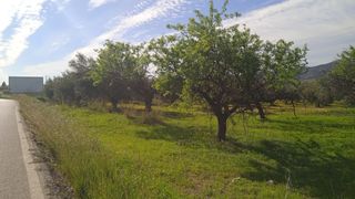 Fondo rustico in Camino cuesta del palmar 34. Finca rústica en torrealquería, alhaurín de la torre.