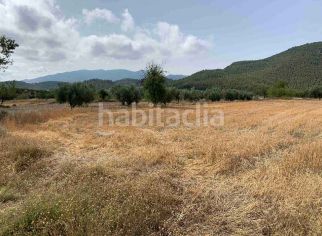 Foto 78b4aeee-d941-4afb-b4b7-0688e4d5793e. Rural plot in barrio grande asensio 109 in Vélez - Rubio