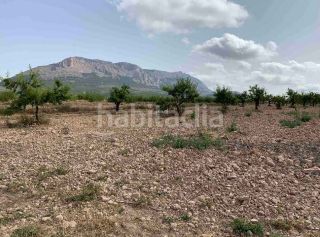 Foto 94d27ded-d44f-4283-919f-d00594815de3. Rural plot in barrio grande asensio 109 in Vélez - Rubio