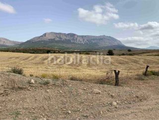 Foto 95d3606a-f7de-4336-bfed-27b153d4720f. Rural plot in barrio grande asensio 109 in Vélez - Rubio