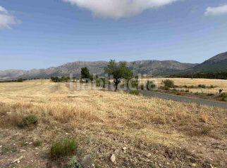 Foto c76770d3-fb52-448e-a7b5-8088a8516e09. Rural plot in barrio grande asensio 109 in Vélez - Rubio