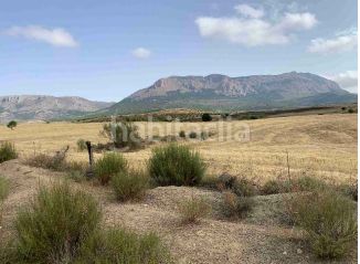 Foto d02dd25e-ffdc-41b6-90e4-984080ce5ebd. Rural plot in barrio grande asensio 109 in Vélez - Rubio