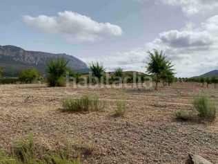 Foto ecd38e0c-32d0-4e48-b514-6fe918c5ce3d. Rural plot in barrio grande asensio 109 in Vélez - Rubio