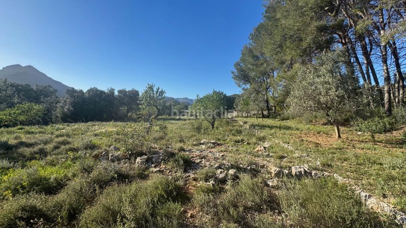 Foto 2b94213b-ab42-4023-831f-94d92f696b19. Terreny residencial a Murla