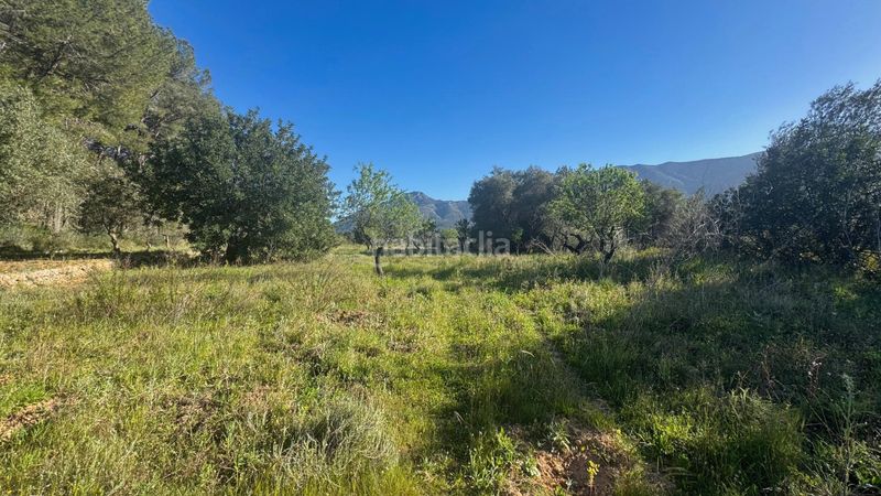 Foto 387bf539-b622-4b61-af8e-e0639b609045. Terreny residencial a Murla
